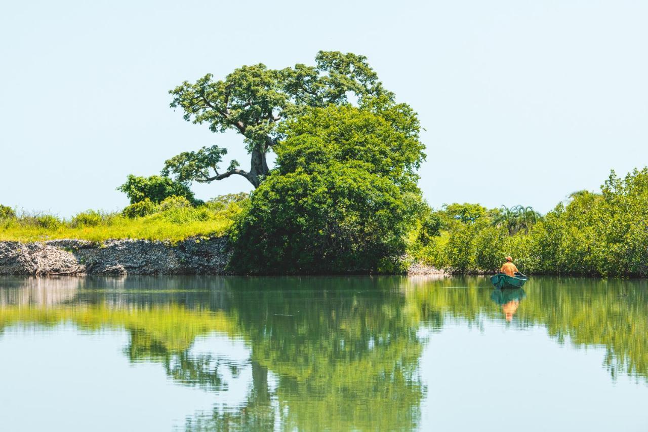 Tamba Kuruba Eco-Lodge Folonko المظهر الخارجي الصورة