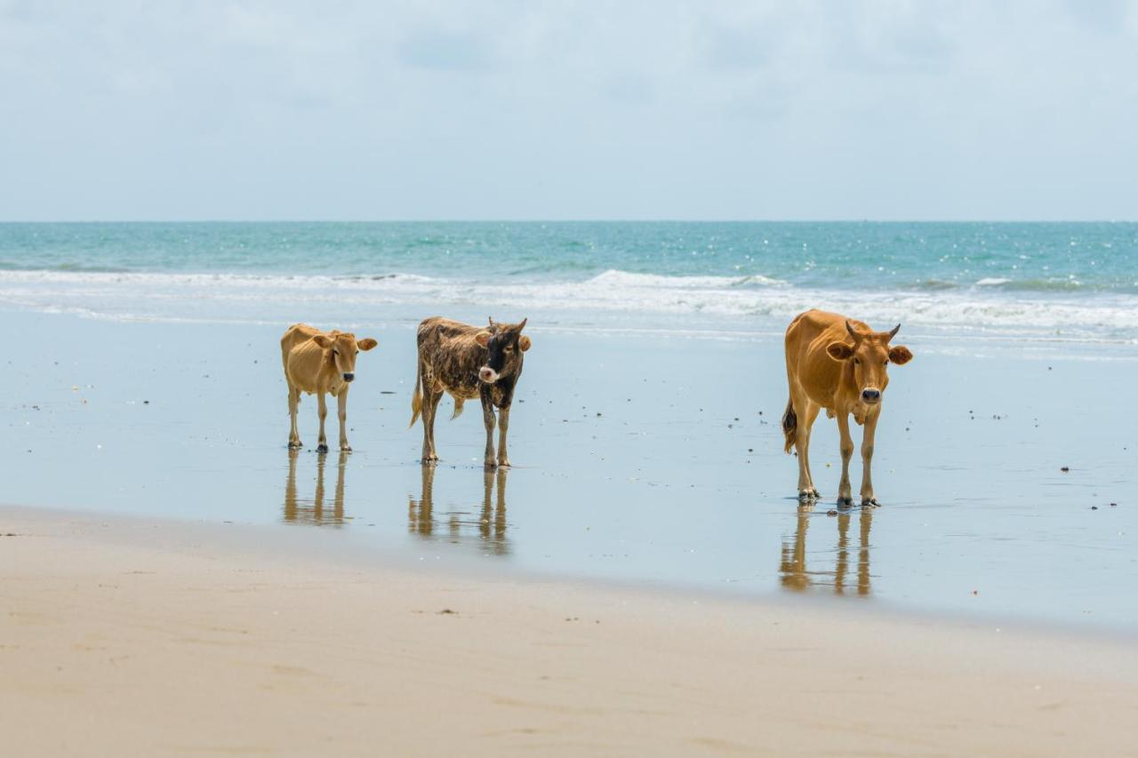 Tamba Kuruba Eco-Lodge Folonko المظهر الخارجي الصورة