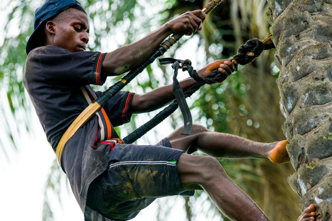 Tamba Kuruba Eco-Lodge Folonko المظهر الخارجي الصورة