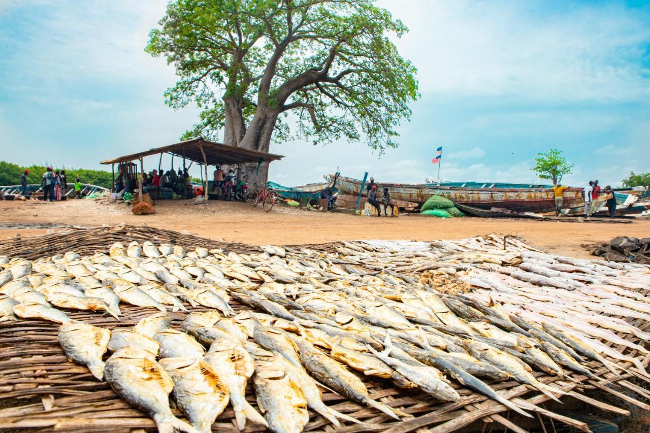 Tamba Kuruba Eco-Lodge Folonko المظهر الخارجي الصورة